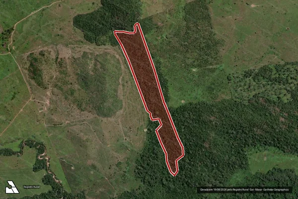 Imagem de satélite de Infração da Flora em Brasil Novo - PA