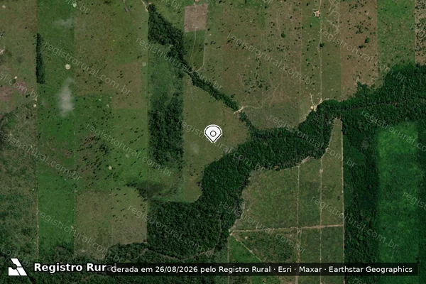 Imagem de satélite de Infração Ambiental em Porto Velho - RO (marcador da localização)