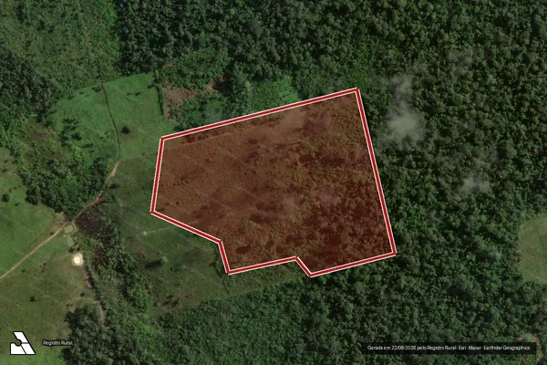 Imagem de satélite de Infração da Flora em Uruará - PA