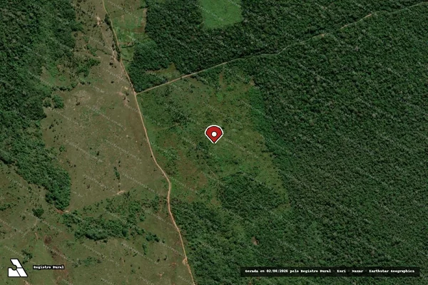 Imagem de satélite — Embargo Ambiental — Manaus/AM