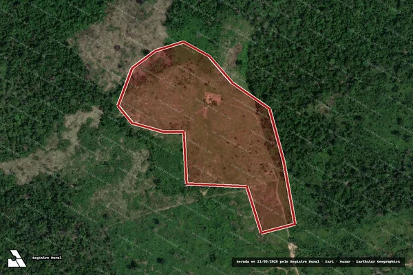 Imagem de satélite de Infração da Flora em Altamira - PA