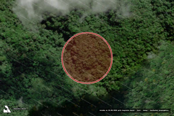 Imagem de satélite — Embargo IBAMA — Infração Ambiental — Arataca/BA
