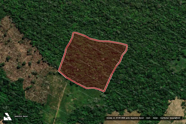 Imagem de satélite de Infração da Flora em Acrelândia - AC