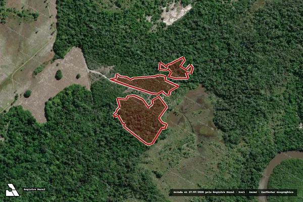 Imagem de satélite de Infração da Flora em Jaguaripe - BA