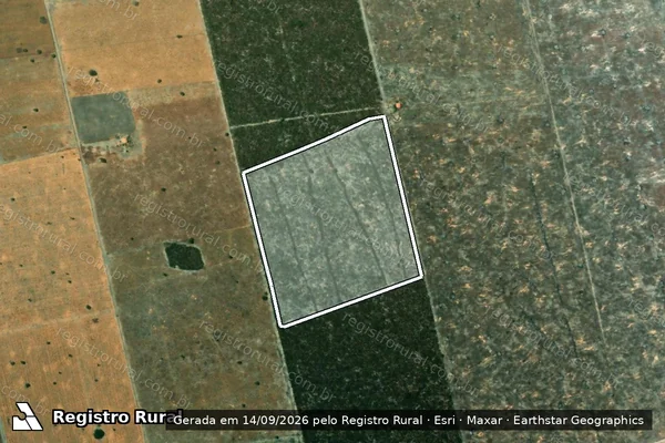 Imagem de satélite de Infração da Flora em São Desidério - BA