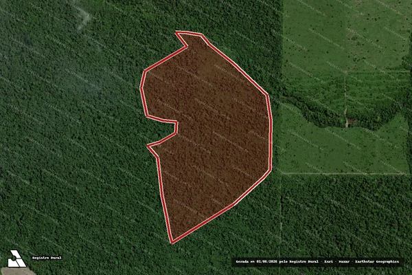 Imagem de satélite — Embargo IBAMA — Infração da Flora - Tailândia/PA