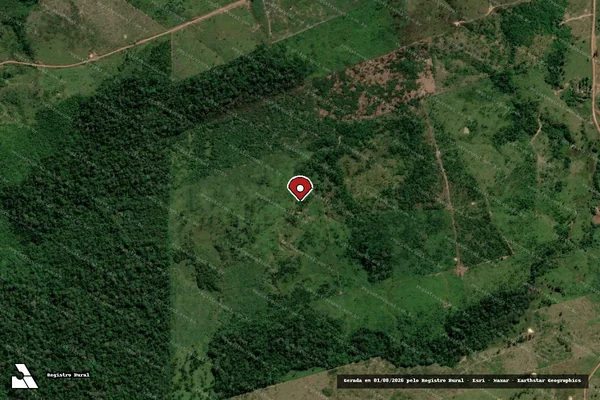 Imagem de satélite de Infração da Flora em Apuí - AM (marcador da localização)