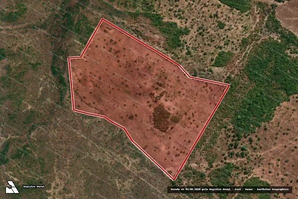 Imagem de satélite de Infração da Flora em Paranã - TO