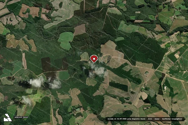 Imagem de satélite de Infração Ambiental em Palmeira - PR (marcador da localização)