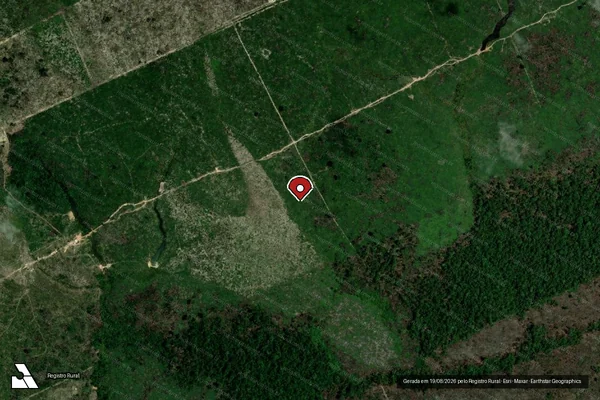 Imagem de satélite de Infração da Flora em Porto Velho - RO (marcador da localização)