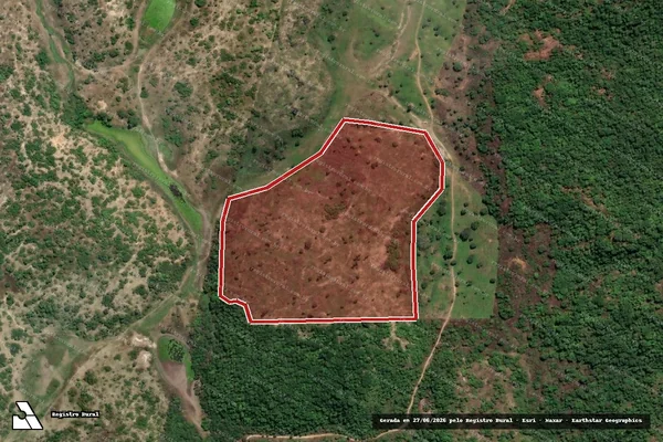 Imagem de satélite — Embargo IBAMA — Infração da Flora — Almenara/MG