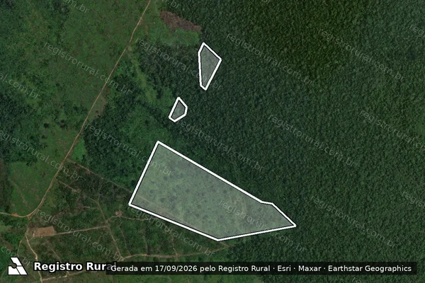 Imagem de satélite — Embargo IBAMA — Infração Ambiental - Humaitá/AM