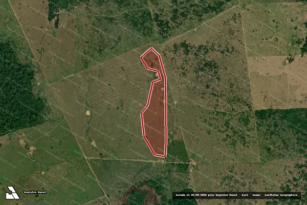 Imagem de satélite de Infração da Flora em Manicoré - AM