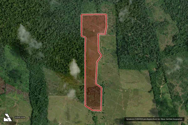 Imagem de satélite de Infração da Flora em Rorainópolis - RR