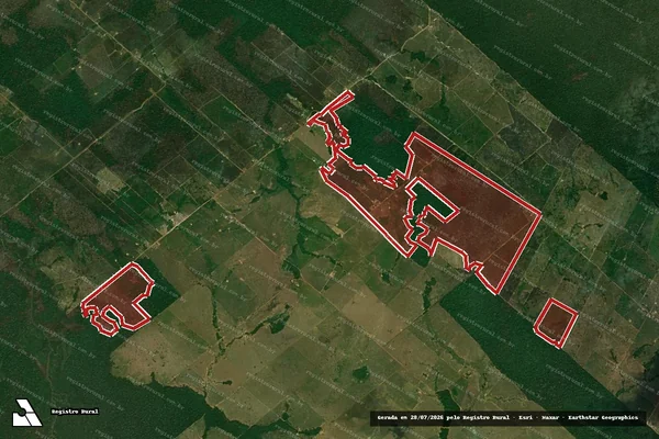 Imagem de satélite de Infração da Flora em Porto Velho - RO