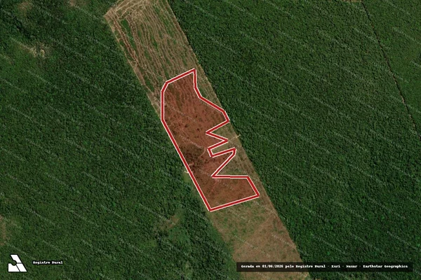 Imagem de satélite de Infração da Flora em Marcelândia - MT