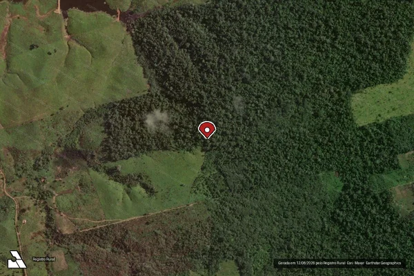 Imagem de satélite de Infração da Flora em Uruará - PA (marcador da localização)