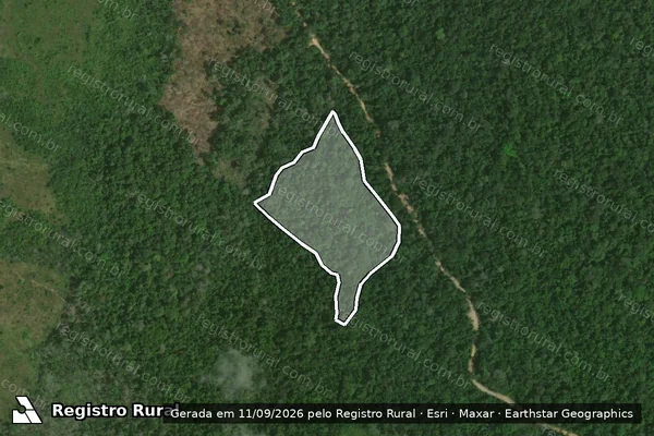 Imagem de satélite — Embargo IBAMA — Infração da Flora - Rorainópolis/RR