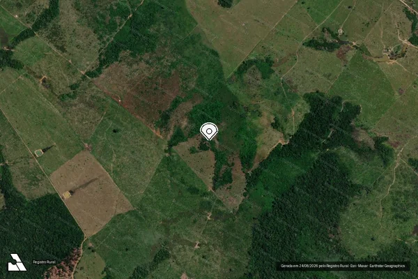 Imagem de satélite de Infração da Fauna em Manicoré - AM (marcador da localização)