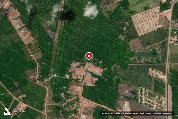 Imagem de satélite de Infração Ambiental em Moju - PA (marcador da localização)