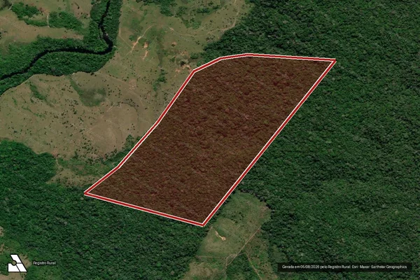 Imagem de satélite de Infração da Flora em Apuí - AM