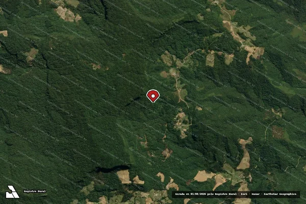 Imagem de satélite de Infração Ambiental em Nova Trento - SC (marcador da localização)
