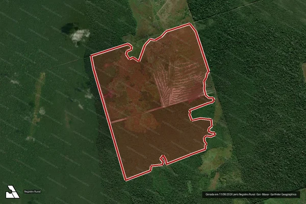 Imagem de satélite de Infração da Flora em Canutama - AM