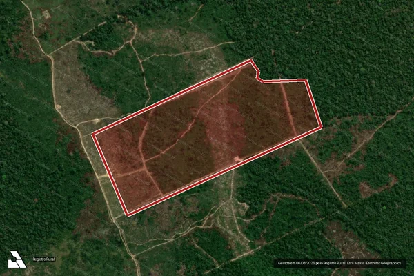 Imagem de satélite — Embargo IBAMA — Infração da Flora - Porto Velho/RO