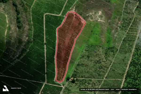 Imagem de satélite de Infração da Flora em Umbaúba - SE