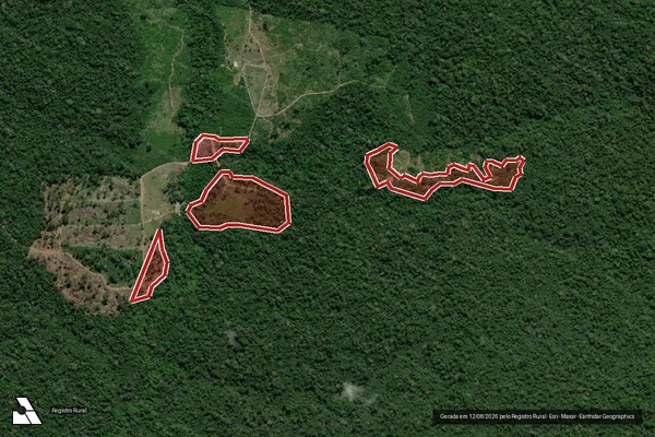 Imagem de satélite de Infração da Flora em Mojuí dos Campos - PA