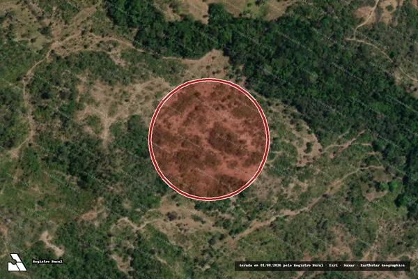 Imagem de satélite de Desmatamento em Pacatuba - SE
