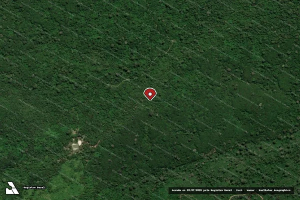 Imagem de satélite de Infração Ambiental em Novo Progresso - PA (marcador da localização)