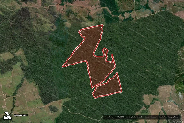 Imagem de satélite de Infração da Flora em Altamira - PA