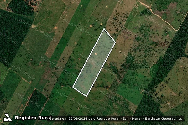 Imagem de satélite de Infração Ambiental em Porto Velho - RO