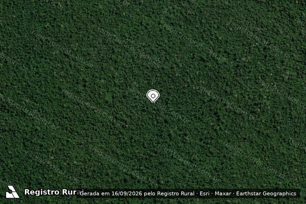 Imagem de satélite — Embargo IBAMA — Infração da Flora - São Félix do Xingu/PA