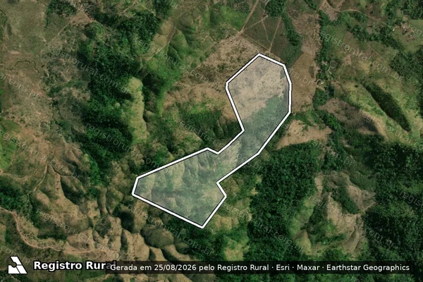 Imagem de satélite de Infração da Flora em São Félix do Xingu - PA