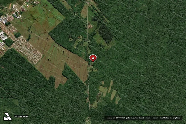 Imagem de satélite de Infração da Flora em Araquari - SC (marcador da localização)