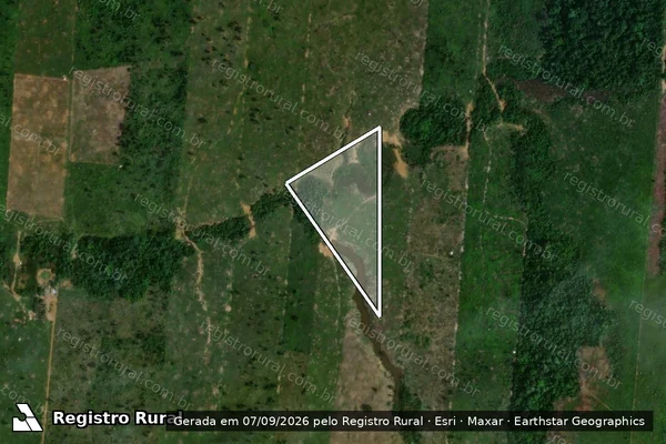 Imagem de satélite — Embargo IBAMA — Infração da Flora - Porto Velho/RO