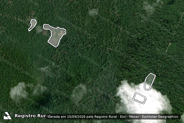 Imagem de satélite — Embargo IBAMA — Infração da Flora - Prainha/PA