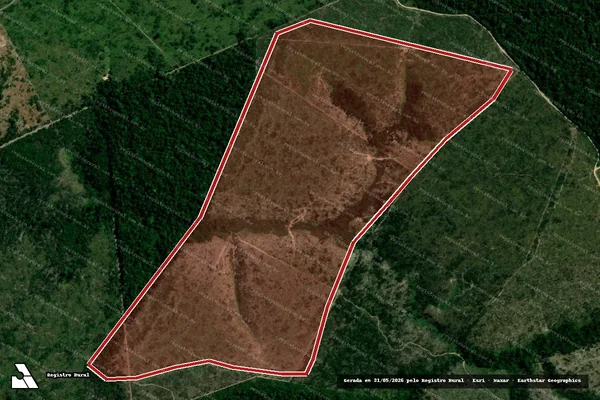 Imagem de satélite de Infração da Flora em Portel - PA