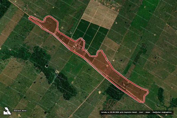 Imagem de satélite de Infração Ambiental em Porto Velho - RO