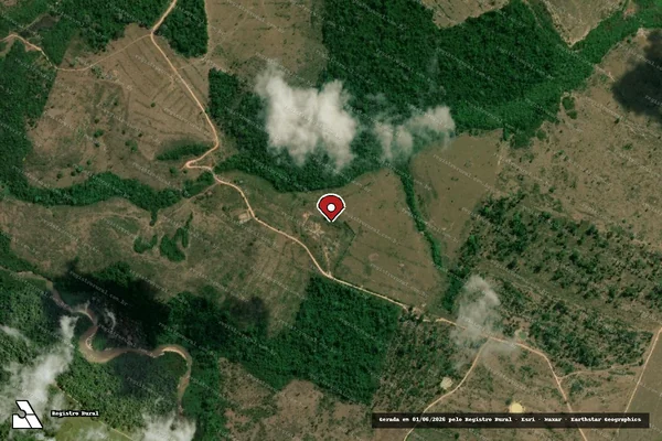 Imagem de satélite de Infração Ambiental em Brasil Novo - PA (marcador da localização)