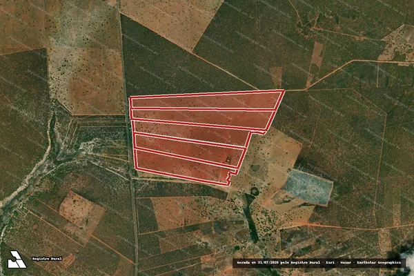 Imagem de satélite de Infração da Flora em Coribe - BA