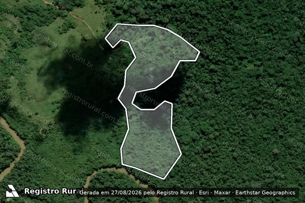 Imagem de satélite de Infração Ambiental em Porto Velho - RO