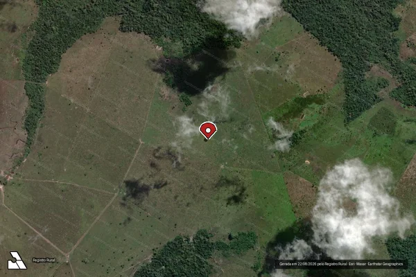 Imagem de satélite de Infração da Flora em São Félix do Xingu - PA (marcador da localização)
