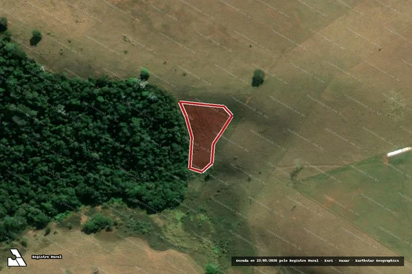 Imagem de satélite de Infração da Flora em Pouso Alto - MG