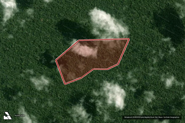 Imagem de satélite de Infração da Flora em Portel - PA