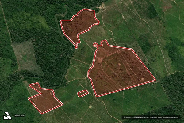 Imagem de satélite — Embargo IBAMA — Infração da Flora - Uruará/PA