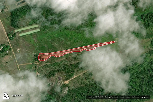 Imagem de satélite — Embargo Ambiental - Iracema/RR