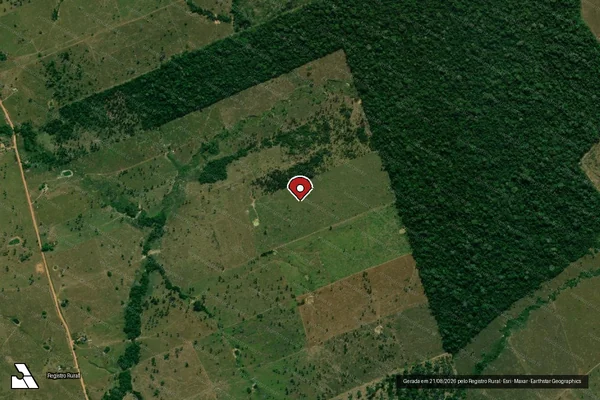 Imagem de satélite de Infração Ambiental em Nova Mamoré - RO (marcador da localização)